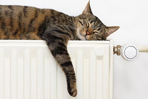 Central Heating Installations West London - Gas Central Heating - Central Heating Installer
